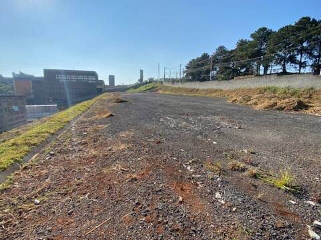 Terreno para Locação em Barueri - 5