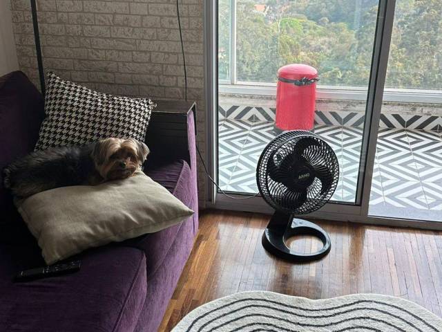 Apartamento para Locação em Carapicuíba - 4