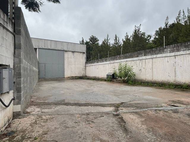 Galpão para Locação em São Paulo - 4