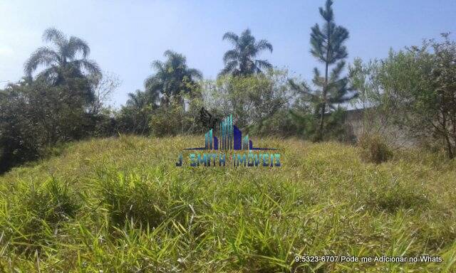 Terreno, 10000 m² - Foto 9