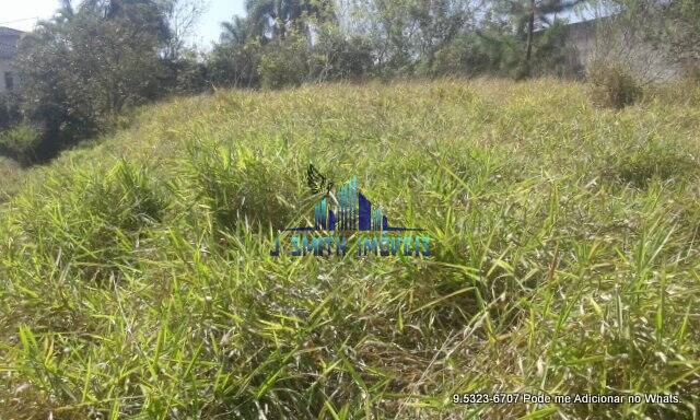 Terreno, 10000 m² - Foto 10