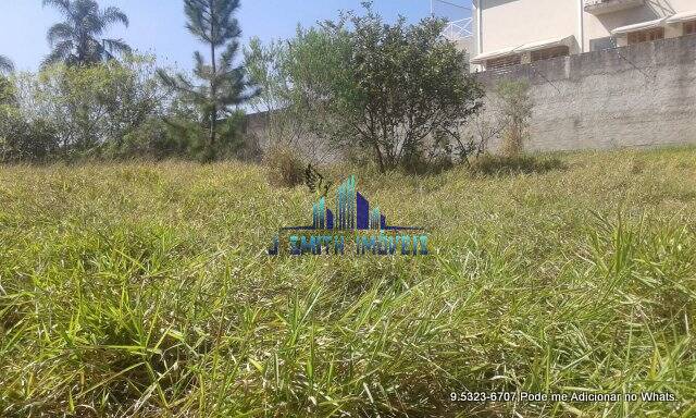 Terreno, 10000 m² - Foto 14