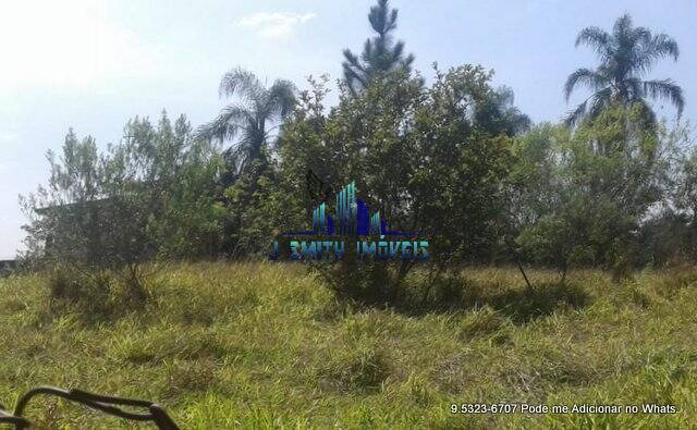 Terreno, 10000 m² - Foto 15
