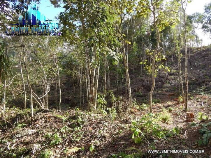 Terreno, 2700 m² - Foto 1
