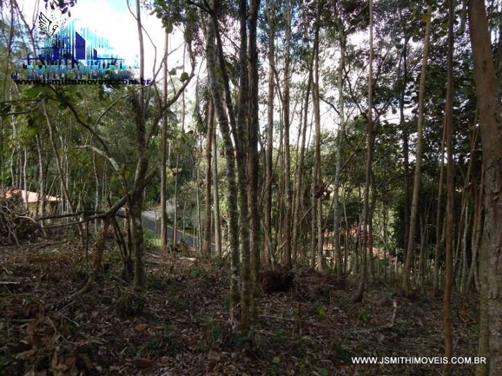 Terreno, 2700 m² - Foto 7