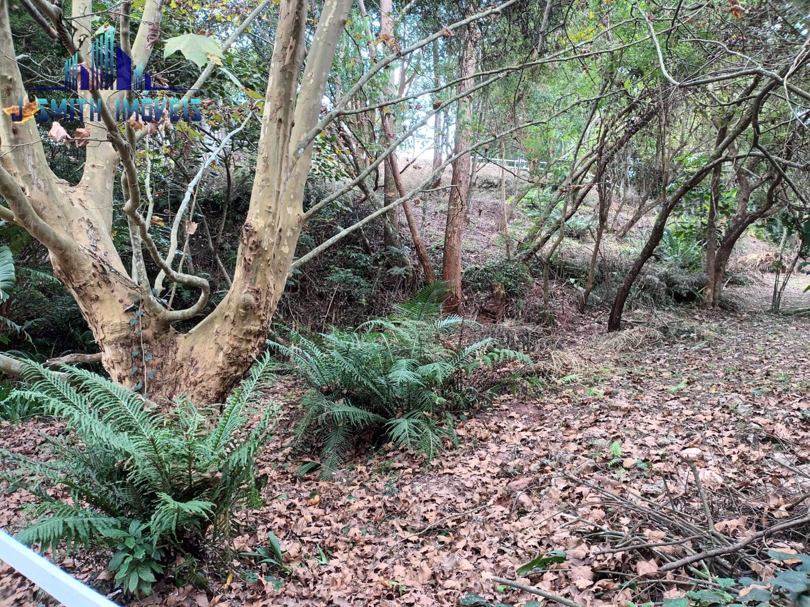 Terreno, 1207 m² - Foto 6