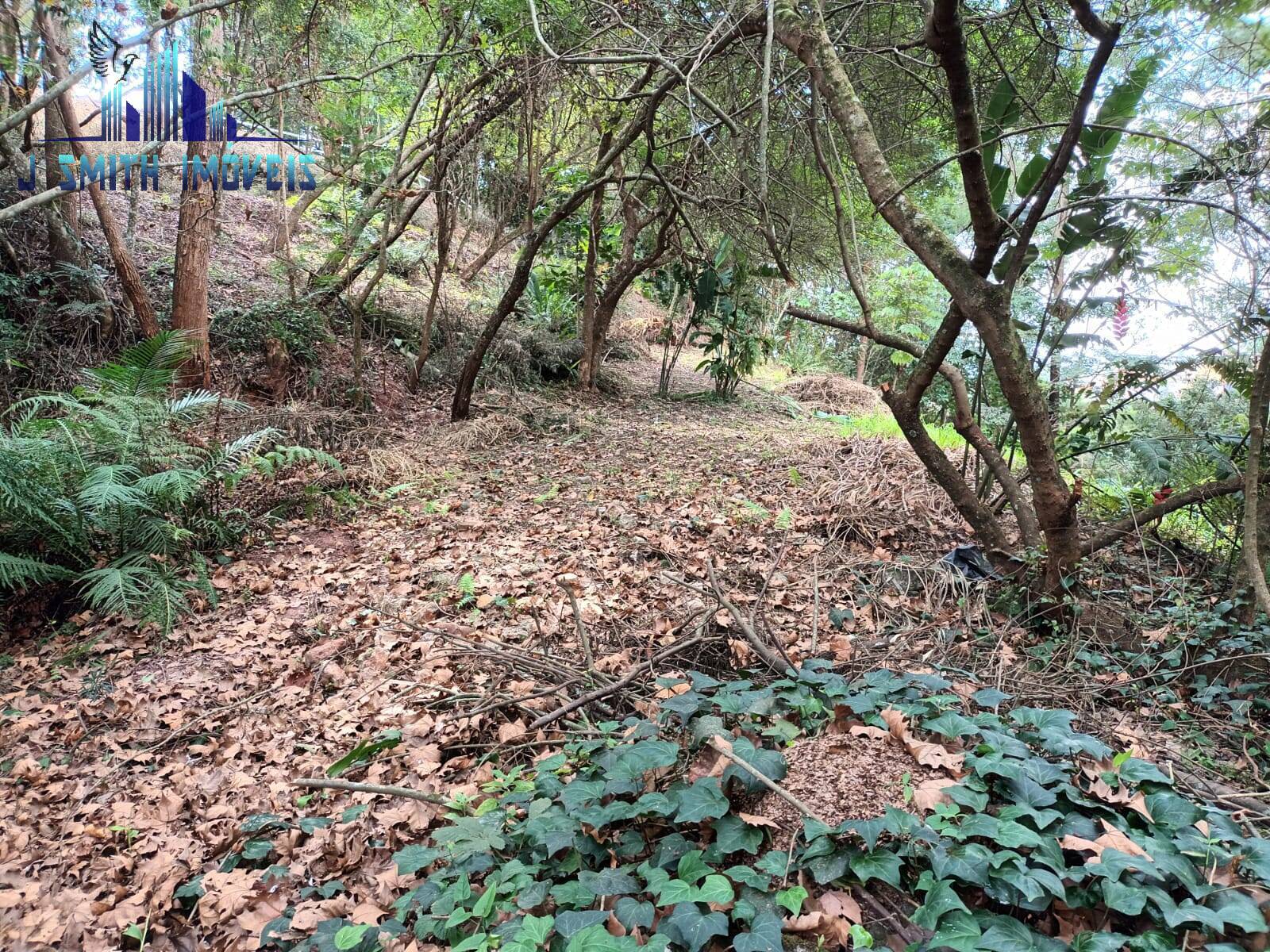 Terreno, 1207 m² - Foto 1