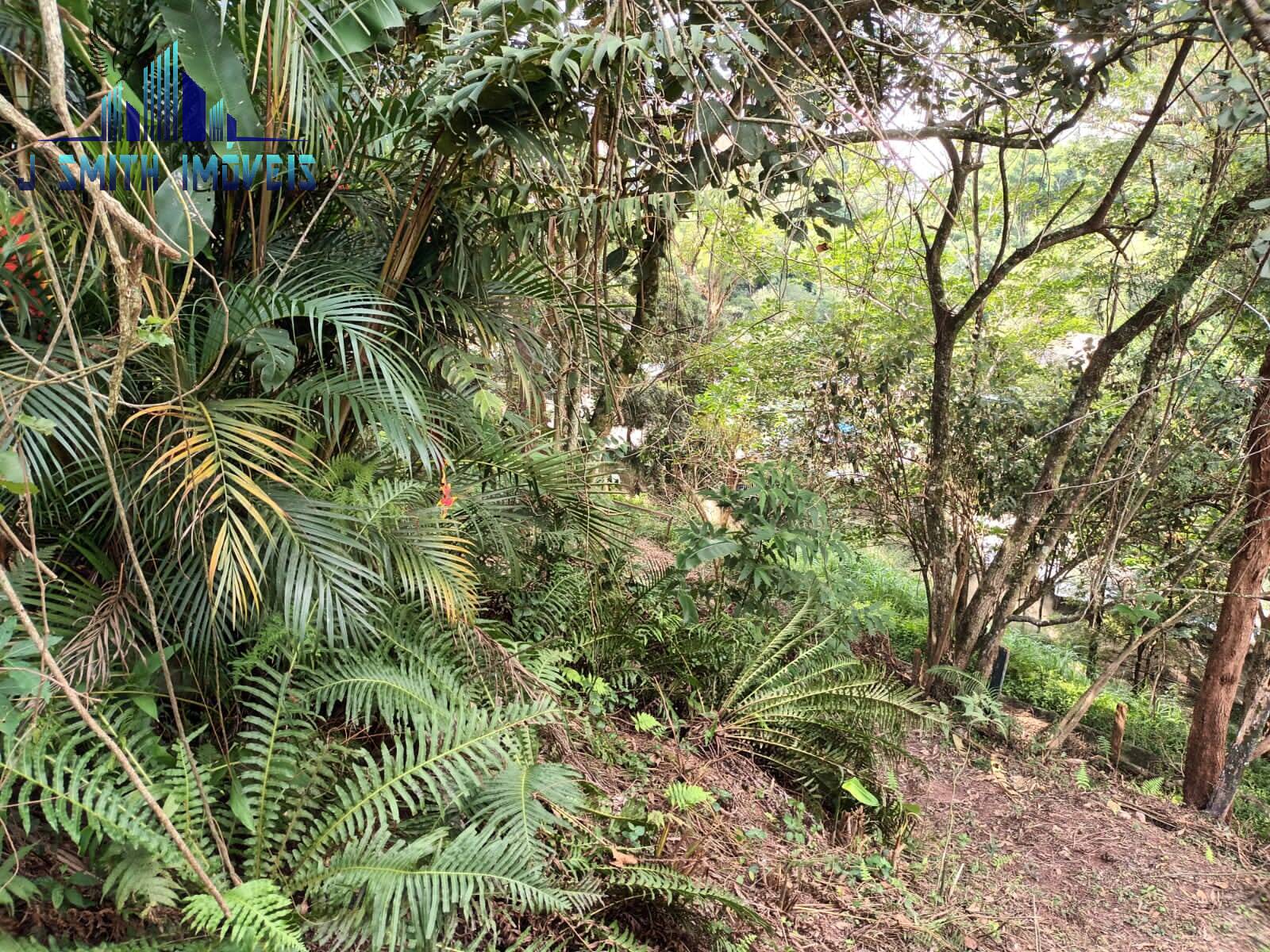 Terreno, 1207 m² - Foto 9