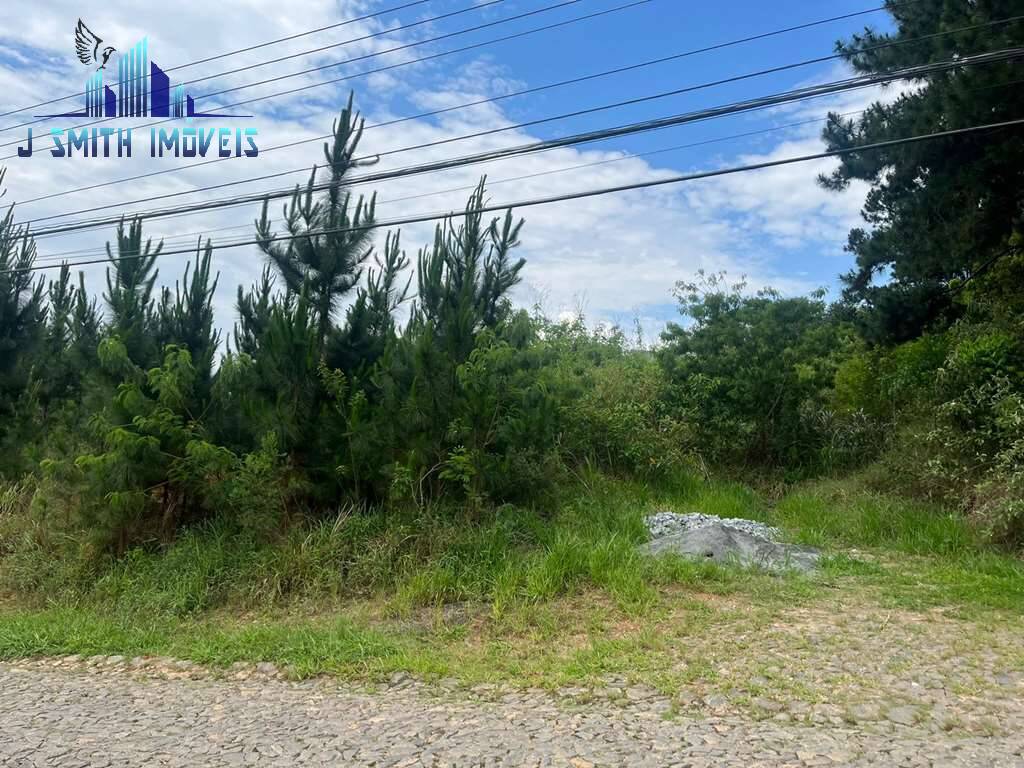 Terreno, 4973 m² - Foto 5