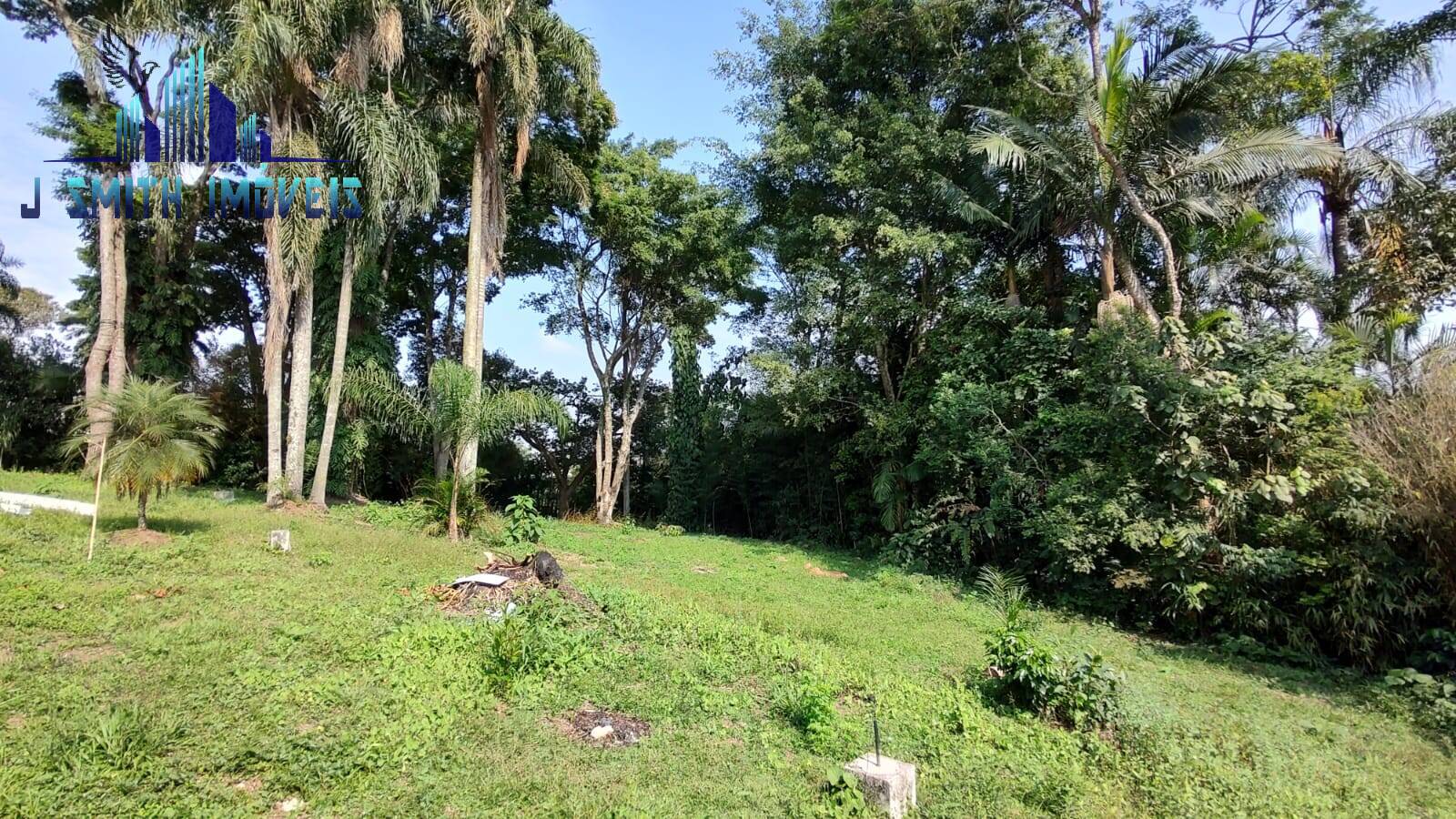 Casa, 6 quartos, 870 m² - Foto 2