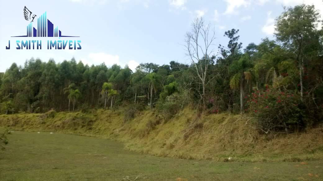 Terreno, 50 hectares - Foto 7