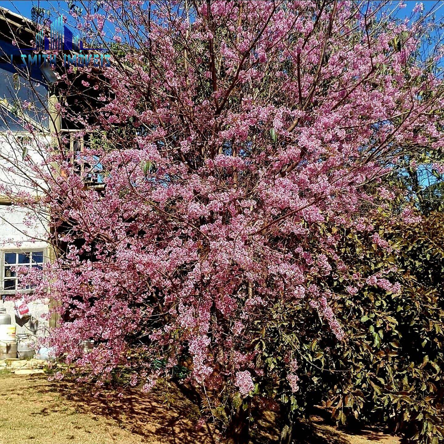 Casa, 3 quartos, 436 m² - Foto 27