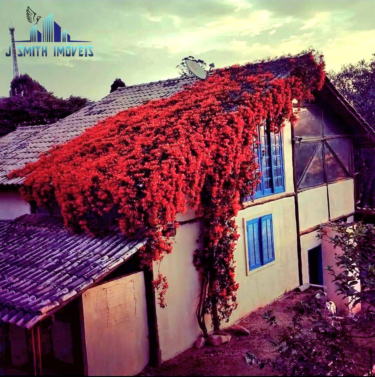 Casa, 3 quartos, 436 m² - Foto 10