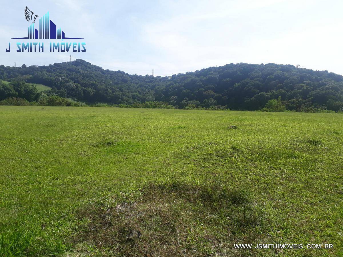 Terreno, 6 hectares - Foto 4