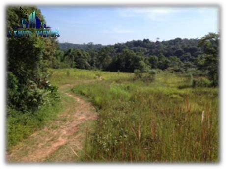 Terreno, 12 hectares - Foto 7