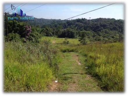 Terreno, 12 hectares - Foto 9