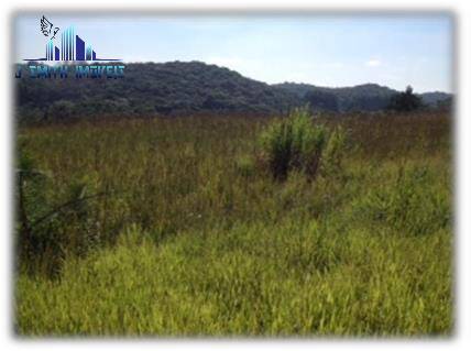 Terreno, 12 hectares - Foto 10