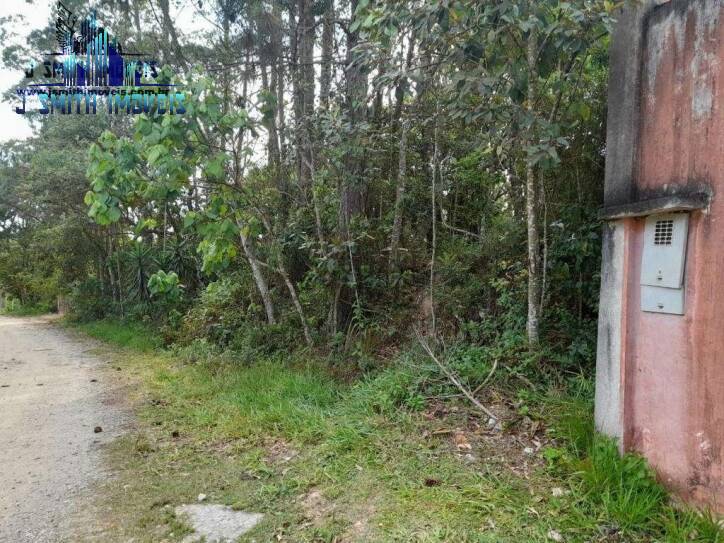 Terreno, 1550 m² - Foto 4