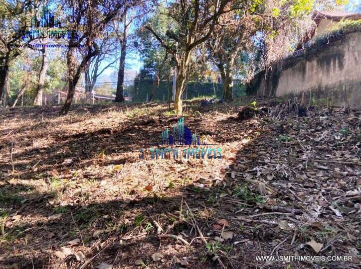 Terreno, 2334 m² - Foto 2