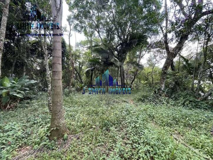 Casa, 4 quartos, 209 m² - Foto 44