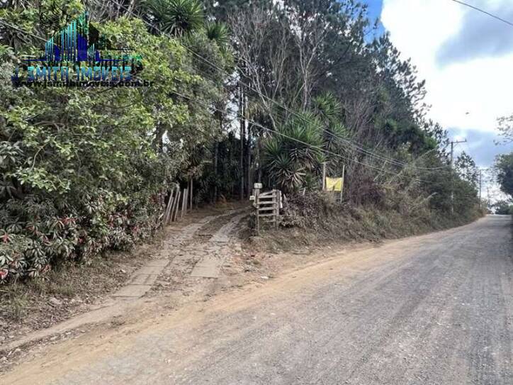 Terreno, 2 hectares - Foto 6