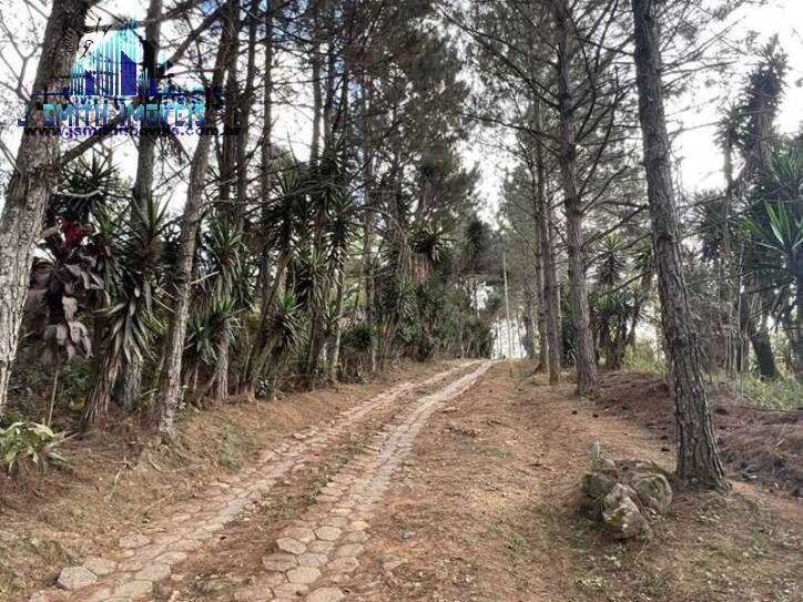 Terreno, 2 hectares - Foto 7
