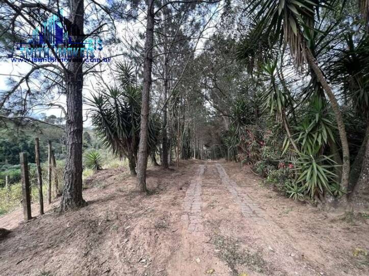 Terreno, 2 hectares - Foto 8