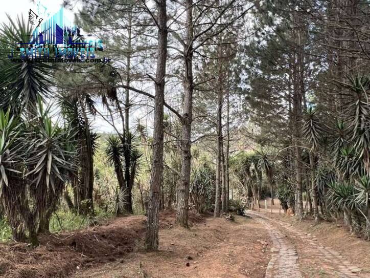 Terreno, 2 hectares - Foto 9