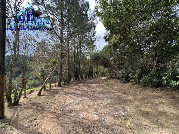 Terreno, 2 hectares - Foto 10