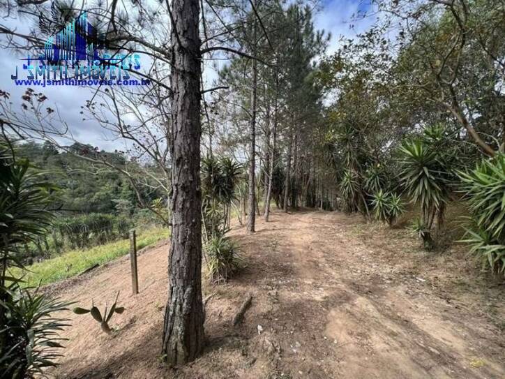 Terreno, 2 hectares - Foto 11