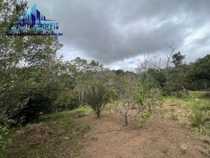 Terreno, 2 hectares - Foto 13