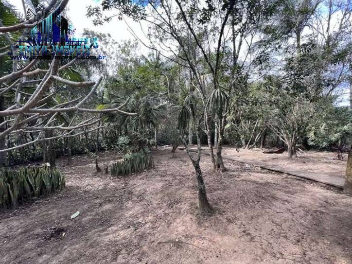 Terreno, 2 hectares - Foto 14