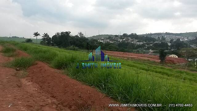 Terreno, 6 hectares - Foto 4