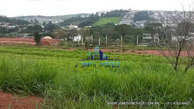Terreno, 6 hectares - Foto 5