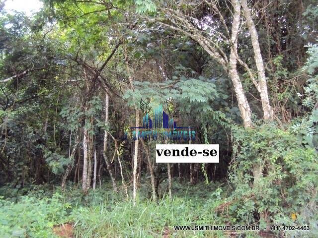 Terreno, 3009 m² - Foto 1